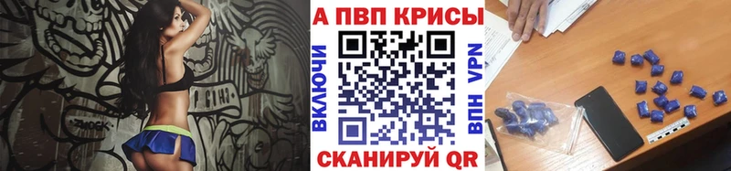 Альфа ПВП СК КРИС  OMG   Мыски 