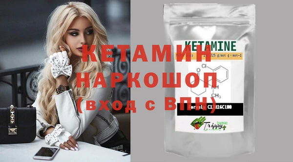 шишки Елизово