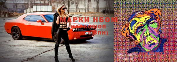 прущие крисы Бородино