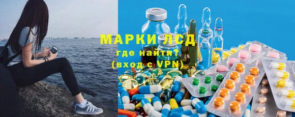 прущие крисы Бородино